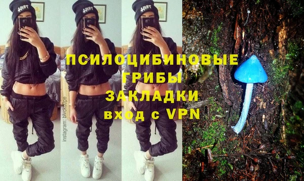 ПСИЛОЦИБИНОВЫЕ ГРИБЫ Абинск